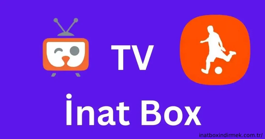 inat-Box-and-tv